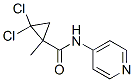 Cyclopropanecarboxamide, 2,2-dichloro-1-methyl-N-4-pyridinyl- (9CI) 结构式