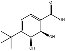 1,3-Cyclohexadiene-1-carboxylic acid, 4-(1,1-dimethylethyl)-5,6-dihydroxy-, (5S,6R)- (9CI) 结构式