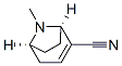 8-Azabicyclo[3.2.1]oct-2-ene-2-carbonitrile,8-methyl-,(1R,5S)-(9CI) 结构式