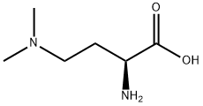 Butanoic acid, 2-amino-4-(dimethylamino)-, (S)- (9CI) 结构式