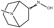 8-Azabicyclo[3.2.1]octan-6-one,8-methyl-,oxime(9CI) 结构式