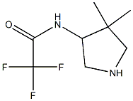 Acetamide, N-(4,4-dimethyl-3-pyrrolidinyl)-2,2,2-trifluoro-, (+)- (9CI) 结构式