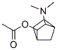 Bicyclo[2.2.1]heptan-2-ol, 3-(dimethylamino)-, acetate (ester), (endo,endo)- (9CI) 结构式