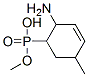 Phosphonic acid, (2-amino-5-methyl-3-cyclohexen-1-yl)-, monomethyl ester (9CI) 结构式