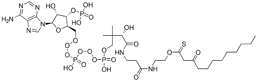 S-[2-[3-[[4-[[[(2R,3S,4R,5R)-5-(6-aminopurin-9-yl)-4-hydroxy-3-phosphonooxyoxolan-2-yl]methoxy-hydroxyphosphoryl]oxy-hydroxyphosphoryl]oxy-2-hydroxy-3,3-dimethylbutanoyl]amino]propanoylamino]ethyl] 3-oxododecanethioate 结构式
