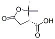 3-Furancarboxylicacid,tetrahydro-2,2-dimethyl-5-oxo-,(3R)-(9CI) 结构式