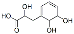 1,3-Cyclohexadiene-1-propanoic acid, alpha,5,6-trihydroxy- (9CI) 结构式