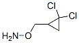 Hydroxylamine, O-[(2,2-dichlorocyclopropyl)methyl]- (9CI) 结构式