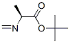 L-Alanine, N-methylene-, 1,1-dimethylethyl ester (9CI) 结构式