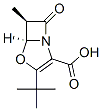 4-Oxa-1-azabicyclo[3.2.0]hept-2-ene-2-carboxylicacid,3-(1,1-dimethylethyl)-6-methyl-7-oxo-,trans-(9CI) 结构式