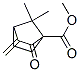 Bicyclo[2.2.1]heptane-1-carboxylic acid, 7,7-dimethyl-3-methylene-2-oxo-, methyl ester (9CI) 结构式