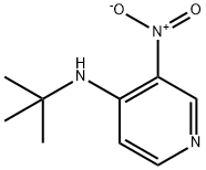 4-(TERT-BUTYLAMINO)-3-NITROPYRIDINE 结构式