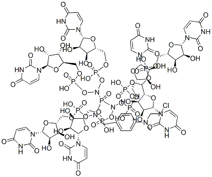 4-(N-2-chloroethyl-N-methyl)aminobenzyl-5'-phosphoamide heptauridylate 结构式