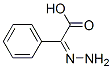 Benzeneacetic acid, alpha-hydrazono- (9CI) 结构式