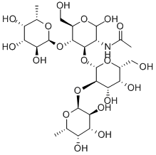 LewisBtetrasaccharide