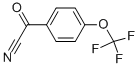 4-(TRIFLUOROMETHOXY)BENZOYL CYANIDE 结构式