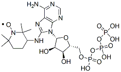 8-(2,2,6,6-tetramethylpiperidin-4-yl-1-oxyl)amino-adenosine triphosphate 结构式