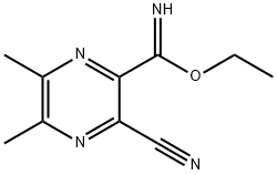 Pyrazinecarboximidic acid, 3-cyano-5,6-dimethyl-, ethyl ester (9CI) 结构式