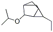 Tricyclo[2.2.1.02,6]heptane, 1-ethyl-3-(1-methylethoxy)- (9CI) 结构式