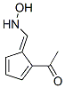 Ethanone, 1-[5-[(hydroxyamino)methylene]-1,3-cyclopentadien-1-yl]-, (E)- (9CI) 结构式