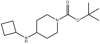 1-叔丁氧羰基-4-(环丁基氨基)哌啶 结构式