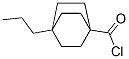 Bicyclo[2.2.2]octane-1-carbonyl chloride, 4-propyl- (9CI) 结构式