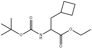 2 - ((叔丁氧基羰基)氨基)-3-环丁基丙酸乙酯 结构式