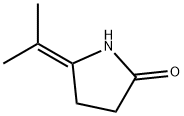 2-Pyrrolidinone,5-(1-methylethylidene)-(9CI) 结构式