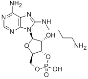 8-(4-AMINOBUTYL) AMINOADENOSINE-3',5'-CYCLIC MONOPHOSPHATE 结构式