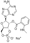 MANT-CAMP SODIUM SALT