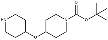 4-(哌啶-4-氧基)-哌啶-1-甲酸叔丁酯 结构式