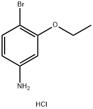 4-溴-3-乙氧基苯胺 盐酸盐 结构式