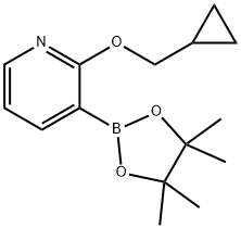 2-(环丙基甲氧基)-3-吡啶硼酸片呐酯 结构式