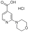 2-Morpholinoisonicotinicacidhydrochloride