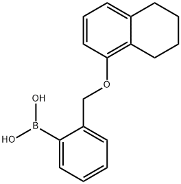 2-[(1',2',3',4'-四氢-5-萘氧基)甲基]苯基硼酸 结构式