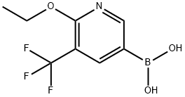 6-乙氧基-5-三氟甲基-3-吡啶硼酸 结构式