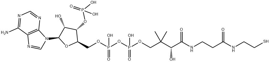 辅酶A 结构式