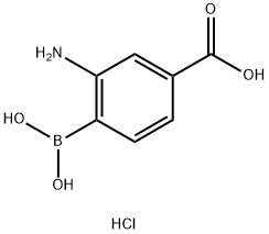 2-氨基-4-羧基L苯基硼酸盐酸盐 结构式