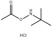 O-乙酰基-N-叔丁基羟胺盐酸盐 结构式
