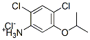 2,4-dichloro-5-isopropoxyanilinium chloride 结构式