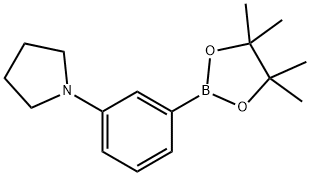 3-(PYRRILIDYL)PHENYLBORONIC ACID PINACOL ESTER 结构式