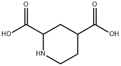 2,4-哌啶二羧酸 结构式