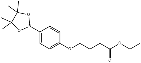 4-(4-(4,4,5,5-四甲基-1,3,2-二氧硼杂环戊烷-2-基)苯氧基)丁酸乙酯 结构式