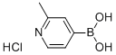 2-甲基-4-吡啶硼酸盐酸盐 结构式