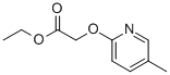 (5-METHYL-PYRIDIN-2-YLOXY)-ACETIC ACID ETHYL ESTER 结构式