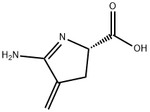 2H-Pyrrole-2-carboxylic  acid,  5-amino-3,4-dihydro-4-methylene-,  (2S)- 结构式