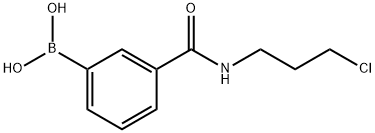 N-(3-氯丙基)-3-硼苯甲酰胺 结构式