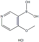 4-甲氧基吡啶-3-硼酸盐酸盐 结构式