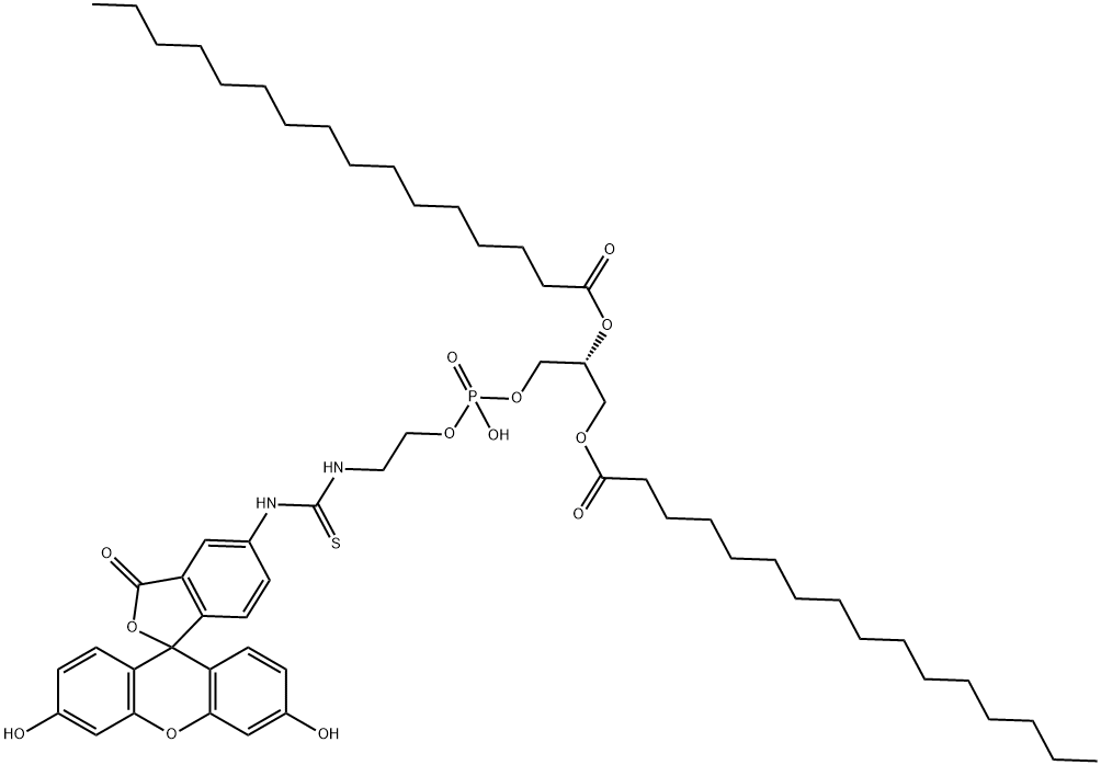 Fluorescein-DipalMitoylphosphatidylethanolaMine 结构式