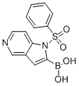 (1-(苯磺酰基)-1H-吡咯并[3,2-C]吡啶-2-基)硼酸 结构式